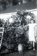 Thelma Fry Dorrough